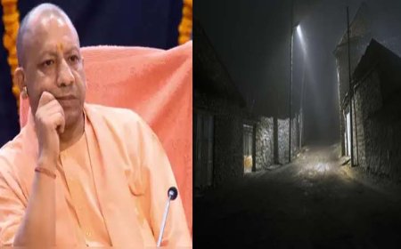 चार टाइगर रिजर्व्स के 150 गांवों में लगेंगी स्ट्रीट लाइट्स, अंधेरे में जंगली जानवरों से ग्रामीणों की सुरक्षा को लेकर योगी सरकार ने नई पहल