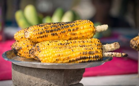 स्टीम में पके अमेरिकन कॉर्न का अपना ही मजा है तो अंगीठी पर भुने गरमा—गरम भुट्टों का स्वाद भी कम नहीं है, शहर में आज—कल जगह—जगह नजर आ रहे हैं, देखते ही मुंह में पानी आ जाएगा, फायदे भी जान लें