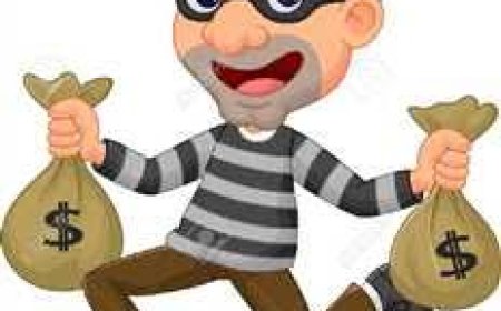 भाजपा पार्षद ने पकड़े दो टप्पेबाज