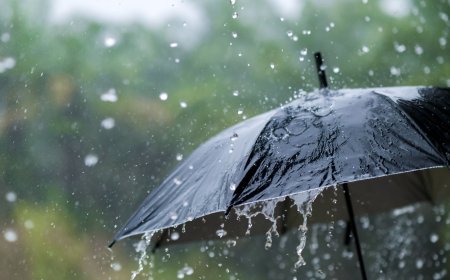 आगरा में एक बार फिर मानसून सक्रिय हो गया है, आईएमडी ने आगरा और आस—पास में आठ सितंबर तक बारिश की संभावना जताई है, तापमान में तीन डिग्री तक गिरावट