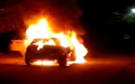 नीलगाय से टकराकर धू-धू जली कार