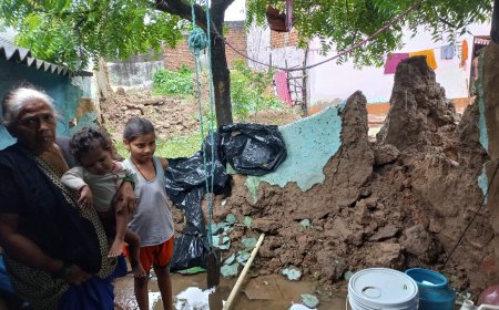 निरंतर बारिश से गांवों में भी तबाही, फसलें जलमग्न