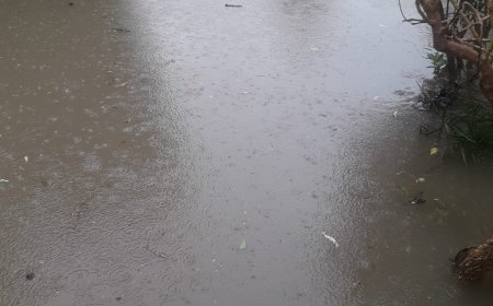 निरंतर बारिश से घरों में कैद होकर रह गए लोग, दफ्तर खुले पर लोग नहीं आए, कई इलाके डूबे