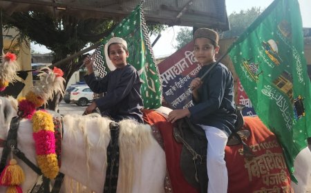 ईद मिलादुन्नबी पर दर्जन भर से ज्यादा जुलूस शांति  से निकले, घरों में रोशनी