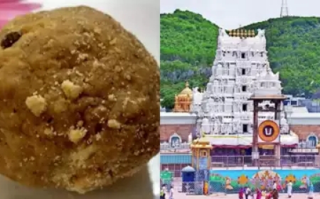 तिरुपति के लड्डू विवाद पर वाईएसआर कांग्रेस हाईकोर्ट पहुंची