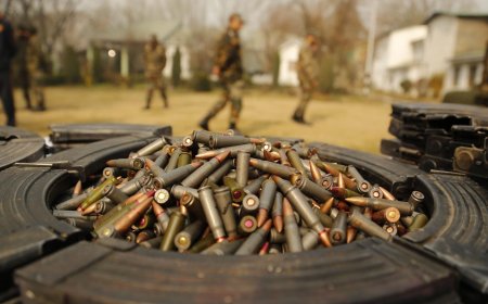 यूक्रेन को हथियार देने की बात पूरी तरह से भ्रामक - भारत