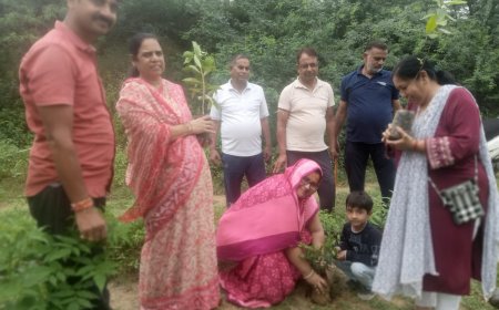 नगर वन में रोपे फलदार वृक्ष