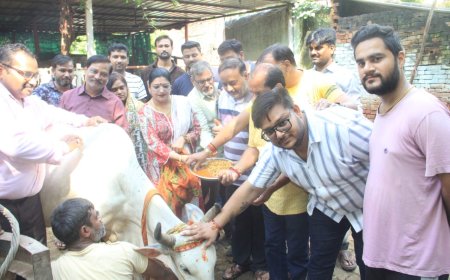 श्रीश्याम आस्था परिवार ने श्राद्ध पक्ष में गौवंश की सेवा कर कमाया पुण्य