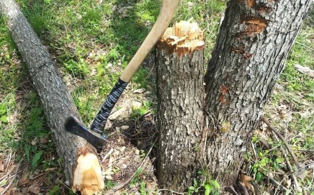 वृंदावन के मामले में मुख्य आरोपी शंकर सेठ गिरफ्तार, अन्य आरोपी फरार