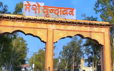 वृंदावन की पवित्र विरासत बचाने को हेरिटेज सिटी का दर्जा दो