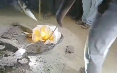 दस फीट लम्बा अजगर गांव में घुसा तो खलबली मच गई