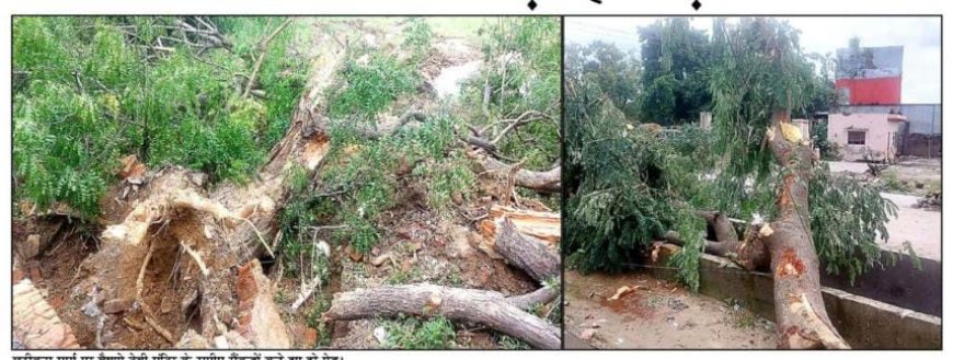 वृंदावन के मामले में डर इस बात का है कि सुप्रीम कोर्ट में क्या होगा?