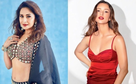 अगली फिल्म में तृप्ति की मां बनेंगी माधुरी दीक्षित