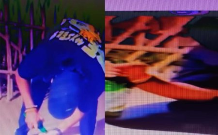 सोशल मीडिया पर सुर्खियों की दीवानगी न जाने और क्या—क्या कराएगी, इन जनाब ने बेजुबानों को बीयर पिलाते हुए वीडियो इंस्टा पर डाला है