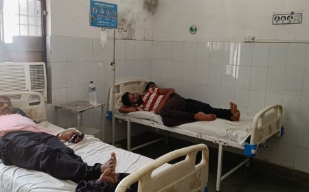 जब भंडारा खाते लोगों पर टूट पड़ीं मधुमक्खियां