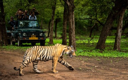 पीलीभीत टाईगर रिजर्व आइए, गांव वालों संग रहिए, आनंद आएगा!