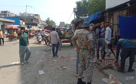 आगरा में अतिक्रमण रोकने के लिए निगम को लगाने पड़े बाउंसर, वैंडिंग जोन विकसित करने की तैयारी