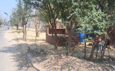 नगर निगम तीन बार तोड़ चुका, दुस्साहसी ने चौथी बार फिर कब्जा लिया डिवाइडर