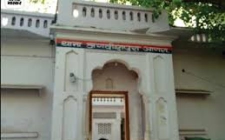 मशहूर सट्टेबाज सनी कबाडिया ने की युवती से छेड़छाड़