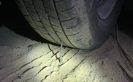 वन विभाग की टीम जंगल से भागी न होती तो अनहोनी हो सकती थी