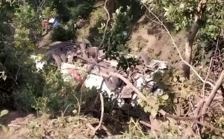 खाई में गिरी स्कूल बस, कई बच्चे घायल