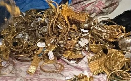 यमुना एक्सप्रेस वे पर कार में मिले 12 किलो से अधिक वजन के स्वर्ण आभूषण