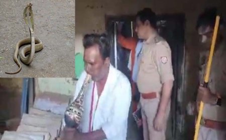 Video News : मैं तेरी दुश्मन, दुश्मन तू मेरा..., नागिन के इंतकाम से डरा पूरा गांव, हापुड़ में सपेरा बुलाकर घर—घर बीन बजवा रही पुलिस