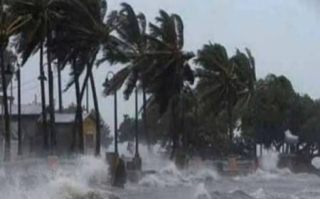 आधी रात बाद उड़ीसा के तट से टकराकर सुबह तक बेदम हो गया 'दाना',  तबाही मचाई पर कोई हताहत नहीं 