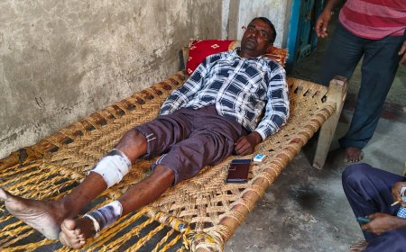 चंबल के पिनाहट घाट पर नाविक घड़ियाल का आहार बन ही चुका होता अगर.....