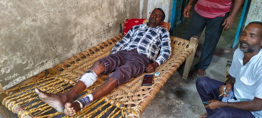 चंबल के पिनाहट घाट पर नाविक घड़ियाल का आहार बन ही चुका होता अगर.....