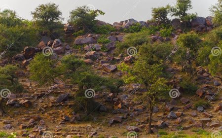 ब्रज मंडल में अन्नकूटः  सामाजिक बाधाओं को तोड़ता है सामूहिक भोज