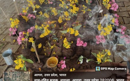 नगर निगम ने अपनी गौशाला में कराई गोवर्धन महाराज संग गायों की पूजा 