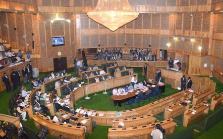 अनुच्छेद 370 पर विधानसभा में हाथापाई की नौबत