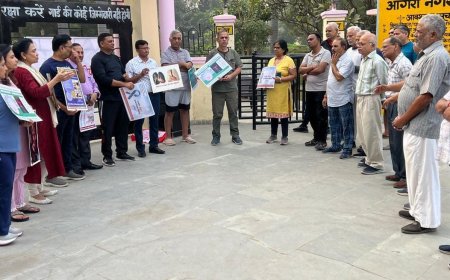 VIDEO NEWS : अपने बीच बैनर, पोस्टर लिए डॉक्टरों को खड़ा देख चौंके लोग, थोड़ी देर बाद बोले थैंक्यू आपने आंखें खोल दीं, देखें वीडियो