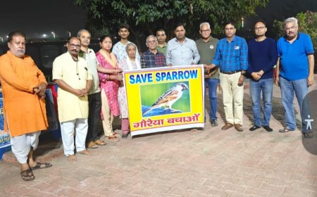 शहर के कंक्रीटीकरण और मोबाइल टावरों से पक्षियों को नुकसान, रिवर कनेक्ट कैंपेन चिंतित