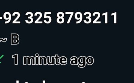 पत्रकार से पाला पड़ा तो अपने ही बुने जाल में उलझ गया पाकी पंजाबी