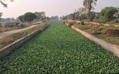 किसानों का प्रदर्शन के बाद बोले डीएम- नहरों की सफाई की जांच कराउंगा