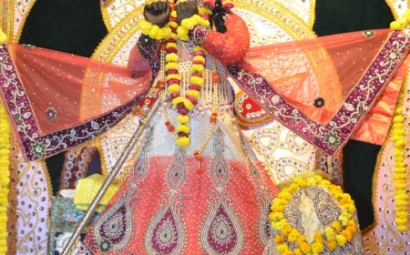 पहली बार श्रीकृष्ण लीला में प्रकट हुए हरिदास जी के बिहारी जी, गूंजे भक्तिमय पद संग फूलों की होली के भजन