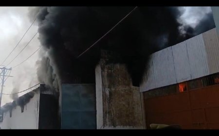 गत्ते की फैक्ट्री में लगी भीषण आग, दमकल की टीम आग बुझाने में जुटी