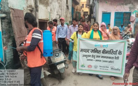 डेंगू, मलेरिया, चिकनगुनिया! मच्छरों को पनपने से रोक सकते हैं, कैसे ये सीएमओ ने समझाया