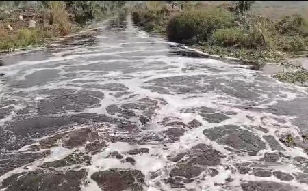 एफएस ब्रांच का पानी नहरों के बजाय खारी नदी में व्यर्थ बहाया जा रहा