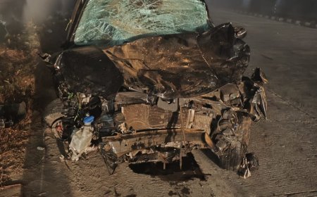 बिजनौर के धामपुर में दर्दनाक सड़क हादसा, दूल्हा दुल्हन समेत सात मरे