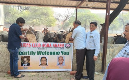लायंस आकाश ने गौ पूजन किया, चारे की व्यवस्था भी की