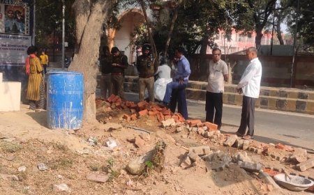 दिन के उजाले में केंद्रीय हिंदी संस्थान की जमीन कब्जाने की कोशिश