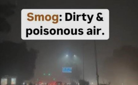 '303', '318', '313', ये महज नंबर्स नहीं, रात 12 बजे बाद आगरा का एक्यूआई है, इसके मायने क्या हैं ?