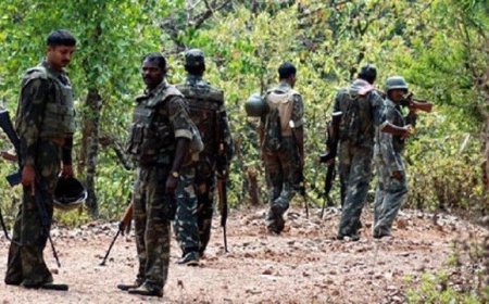 सुकमा में पुलिस से मुठभेड़ में 10 नक्सली ढेर