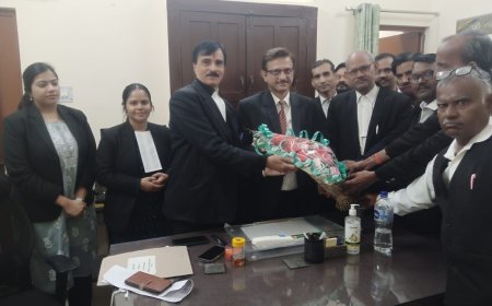 मुख्य पारिवार न्यायाधीश को वकीलों ने दी विदाई