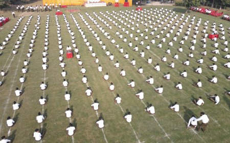 संघ वही कार्य कर रहा है जो सिख गुरुओं ने किया