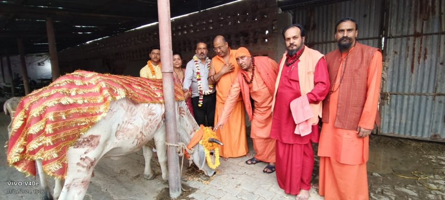 श्रीमनःकामेश्वर ग्रामीण संस्थान ने गोपाष्टमी पर गौवंश के लिए लगाए 56 भोग 