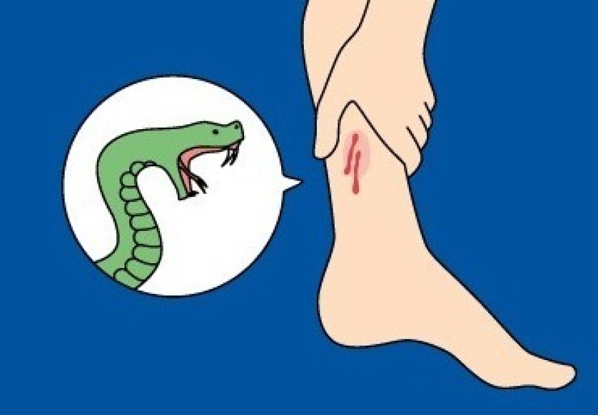 अछनेरा के स्कूल में सर्पदंश से पांचवीं की छात्रा की मौत, मामला रफा-दफा